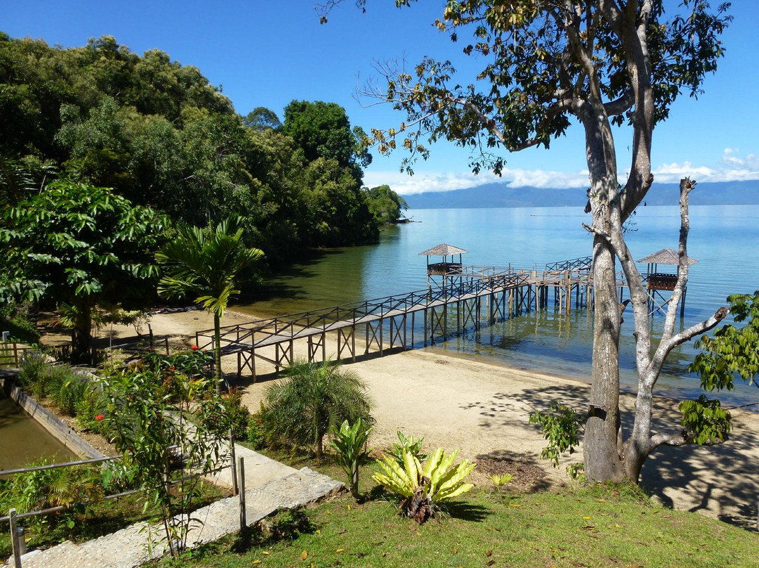 Central Sulawesi旅游攻略图片