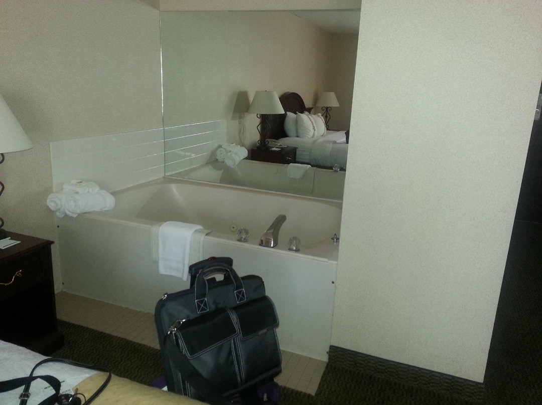 迪比克酒店住宿-Holiday Inn Dubuque/Galena by IHG