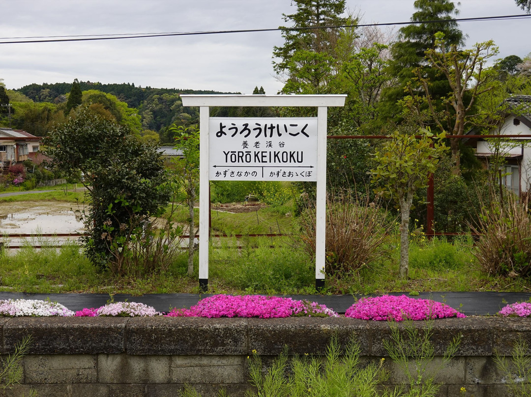 Yorokeikoku Station-市原市必去景点