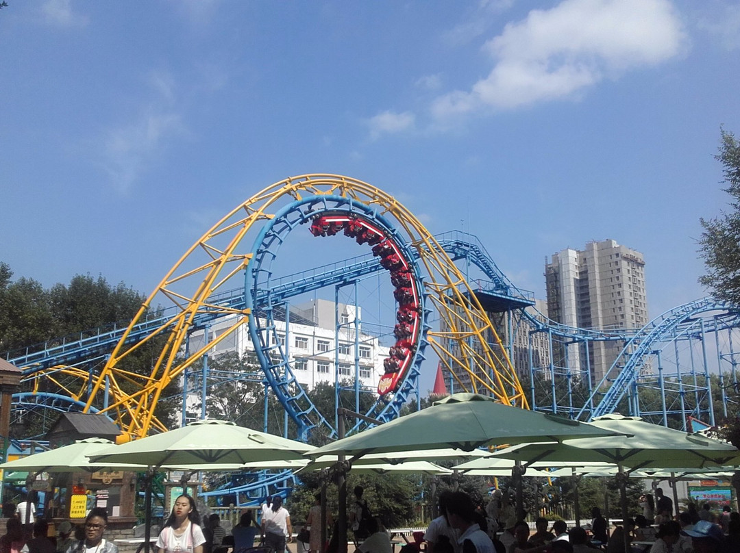 哈尔滨游乐园-哈尔滨市必去景点