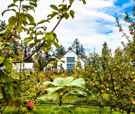 Sea Cider Farm & Ciderhouse景点图片