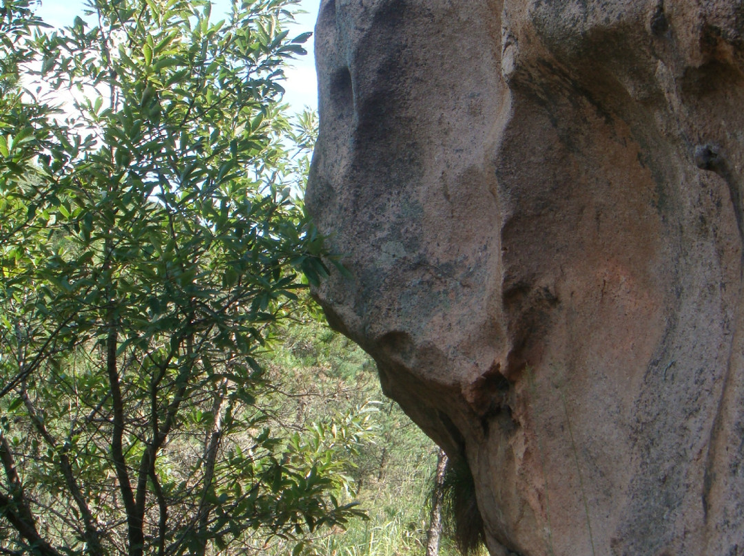 丛麻禅院-海阳市必去景点