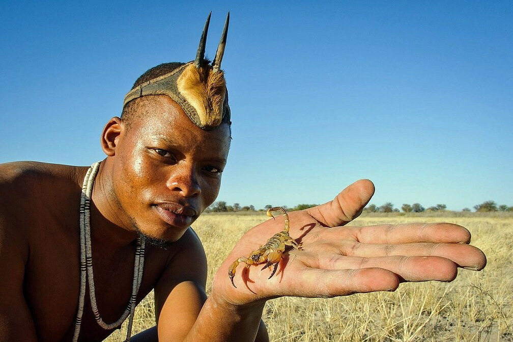 Makgadikgadi Pans National Park旅游攻略图片