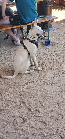 Drake's: The Barn-西萨克拉门托必去景点