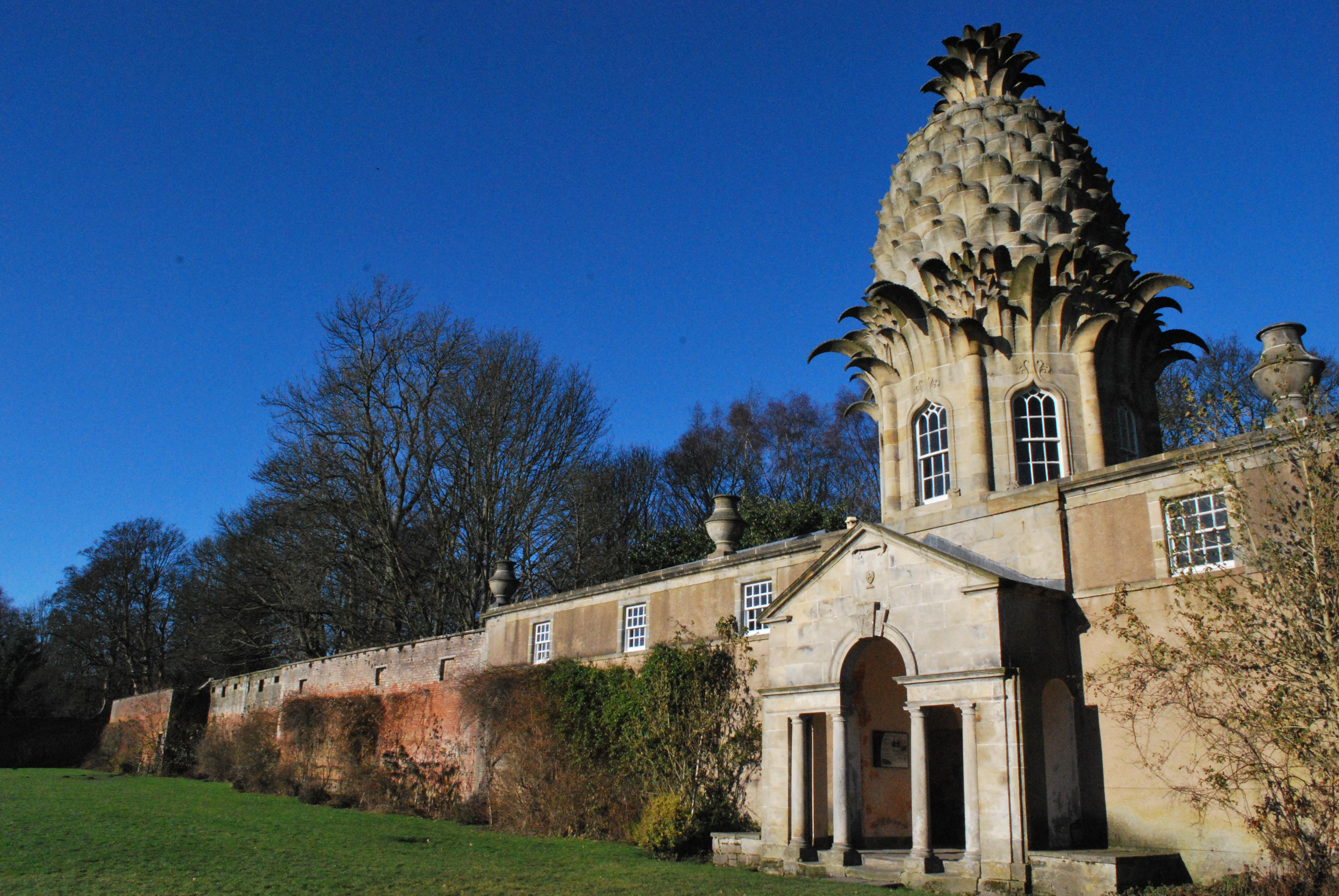 The Pineapple-客卧