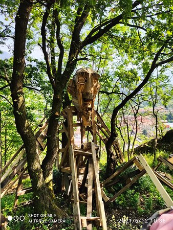 Bosco Delle Meraviglie景点图片
