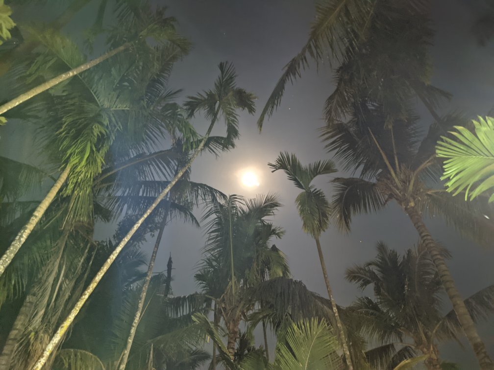 Coconut Fly Holidays Resort-官方