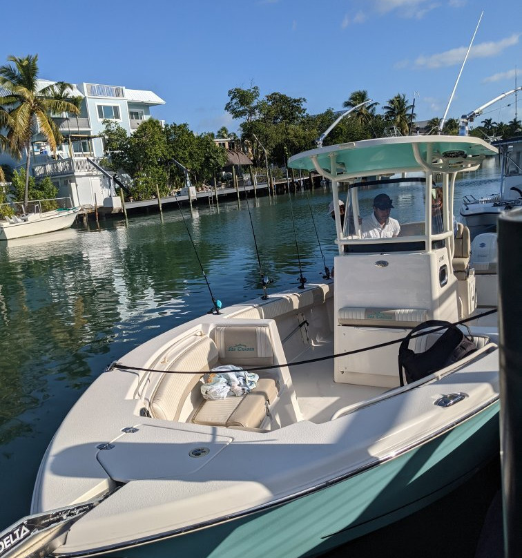 Elite Boat Rentals @ IslaMarina-伊斯拉摩拉达必去景点