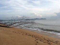 Cherating Beach景点图片