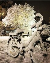 科加劲湖自然保护区-Korgalzhyn必去景点