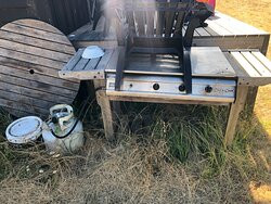 Pakiri Beach Horse Rides - Day Tours-韦尔斯福德必去景点