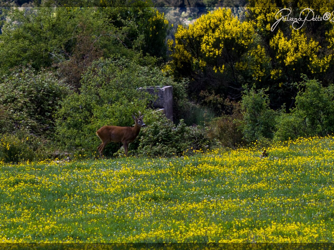 I Prati-Stroncone必去景点