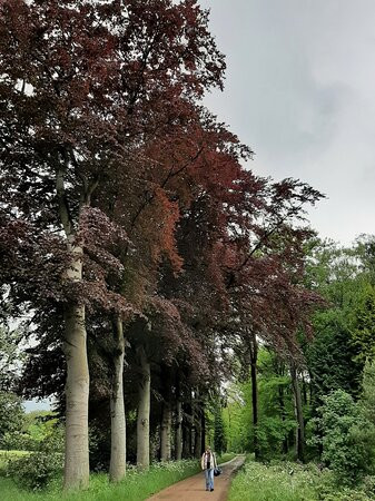 Landgoed "het Enzerinck"-Vorden必去景点