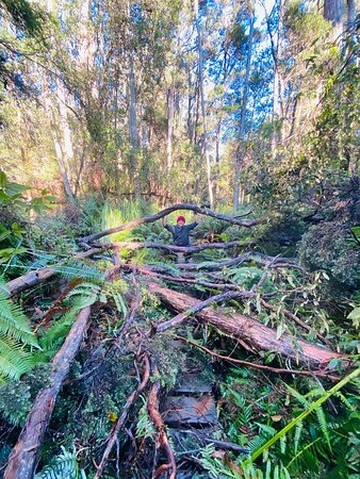 South Cape Bay-Southwest National Park必去景点
