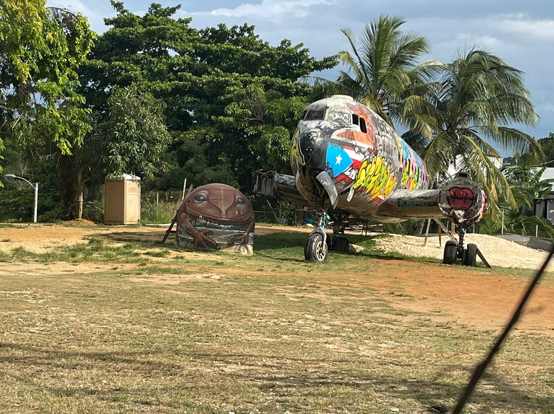 Abandoned Plane景点图片