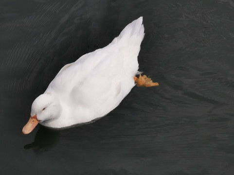 Embalse De Los Rosales