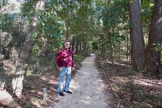 Port Stephens Native Flora Garden景点图片