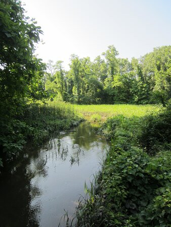 Hannacroix Creek Preserve景点图片