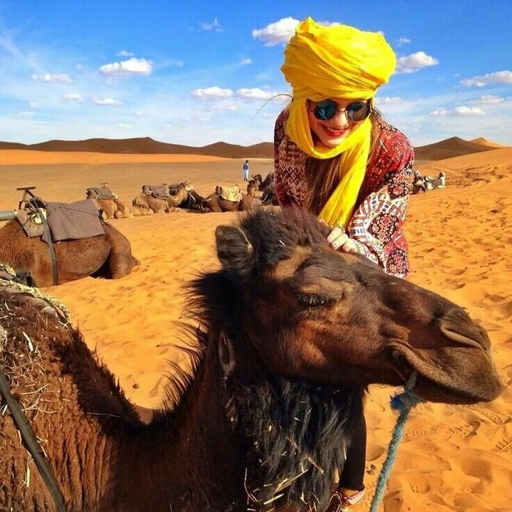 Toursma Travel & Tourism-Agdz必去景点