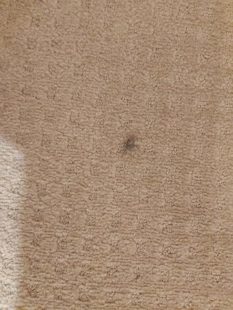 Oktyabrskaya Hotel主图