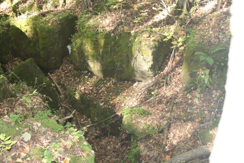 Petun Conservation Area景点图片