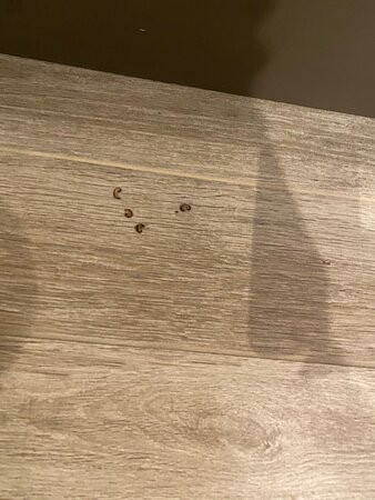 Cottages & Suites Of Geneva National主图