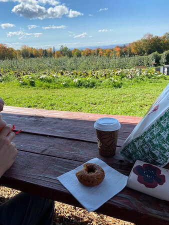Burtt's Apple Orchard-Cabot必去景点