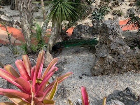 Pinecrest Gardens-Pinecrest必去景点