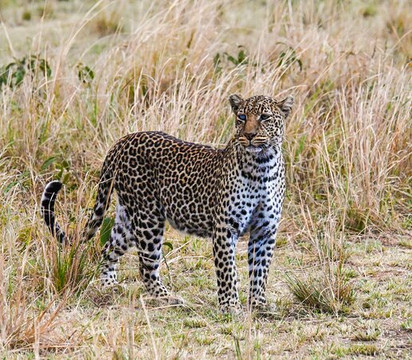 Discovery Expeditions & Adventures-内罗毕必去景点