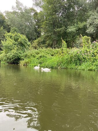 Shrewsbury Canoe Hire景点图片