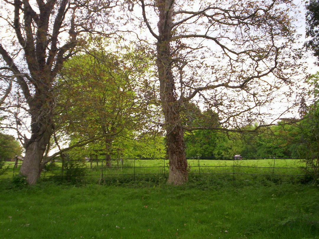 Dairy Farm Guest House