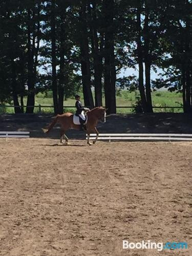 Sassi Talu Horsefarm