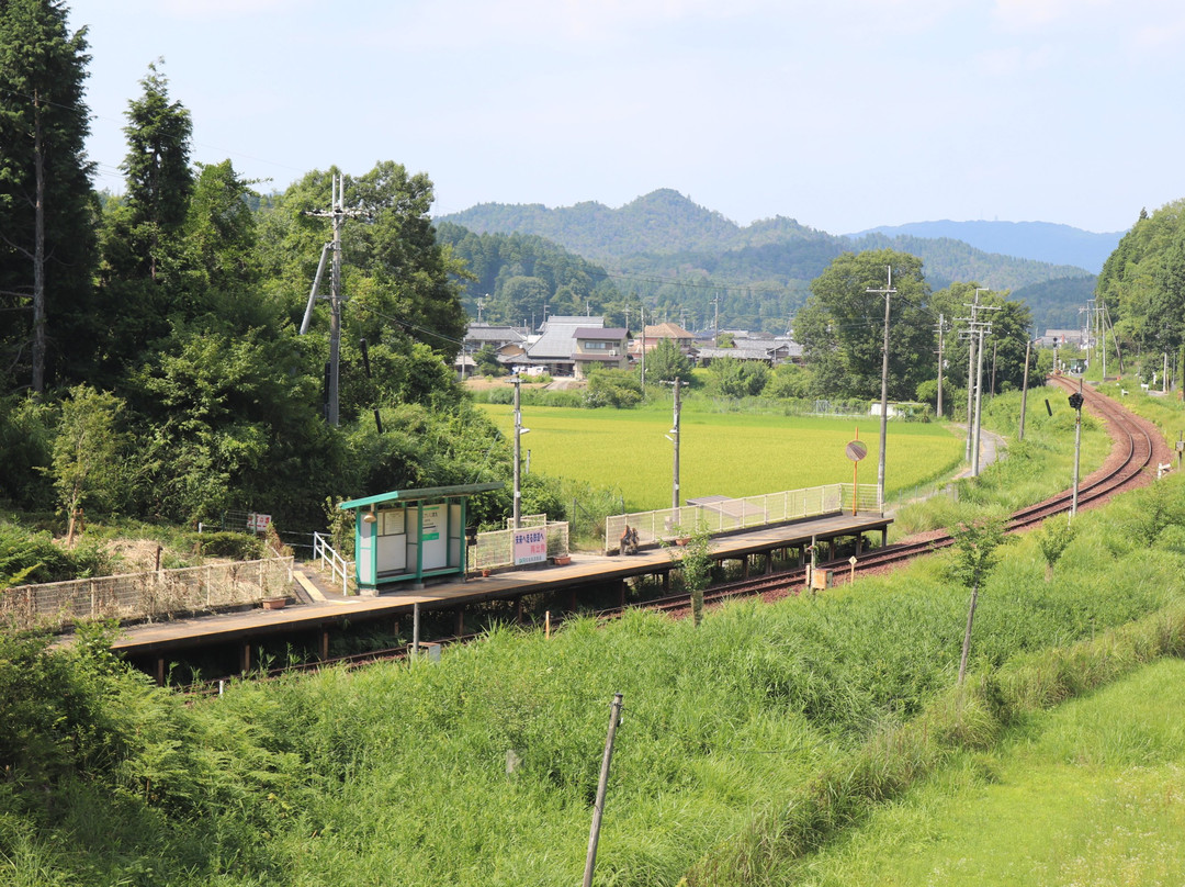 Horanomiya Bridge景点图片