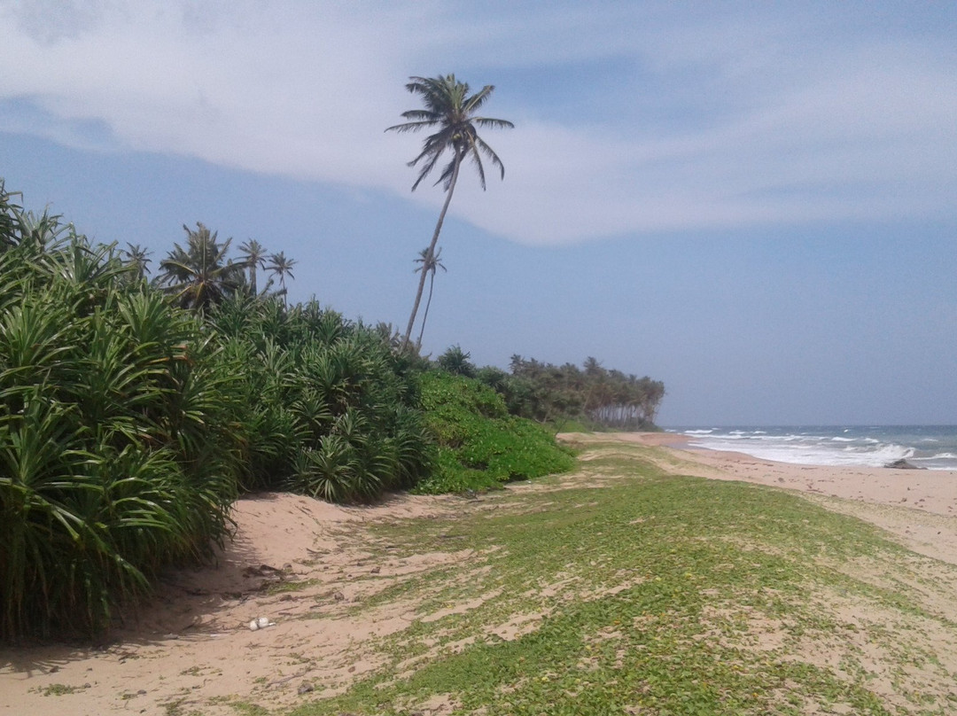 Kahandamodara Beach景点图片