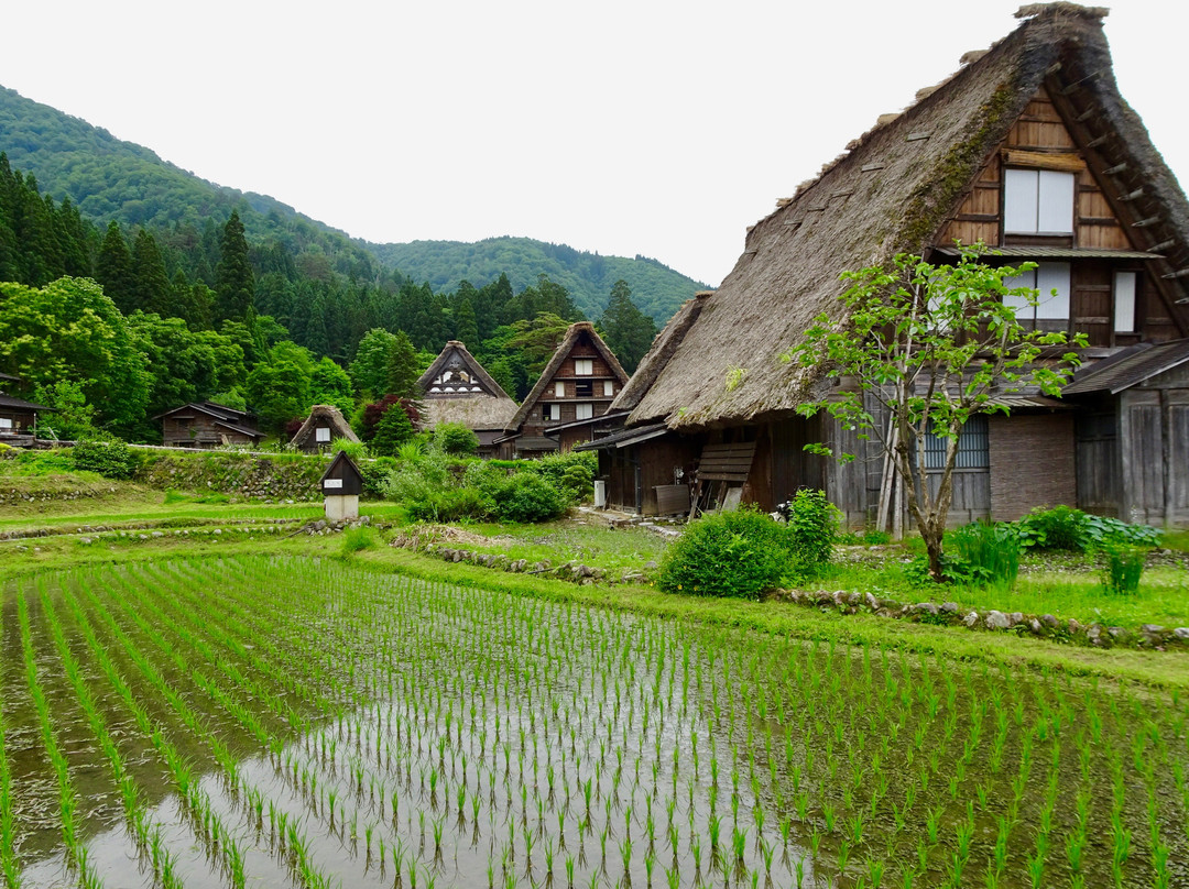 世界遗产白川乡合掌屋