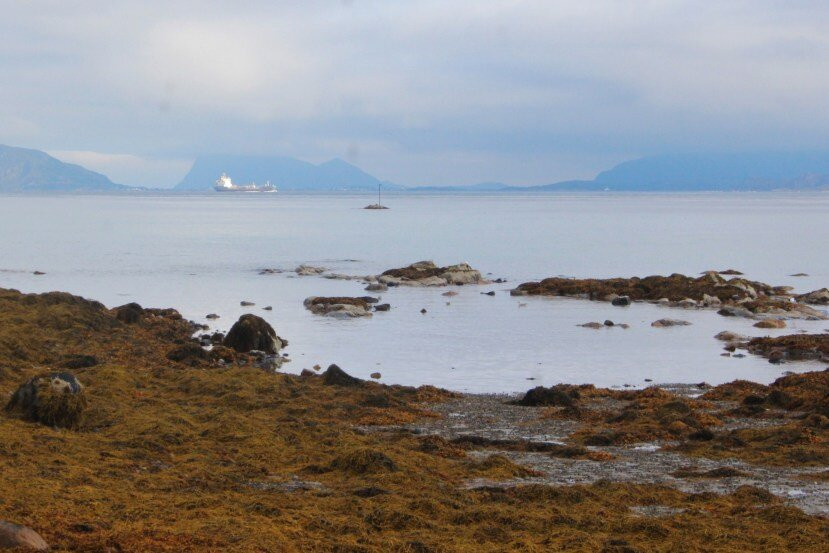 Sandsenet-Botnhamn必去景点