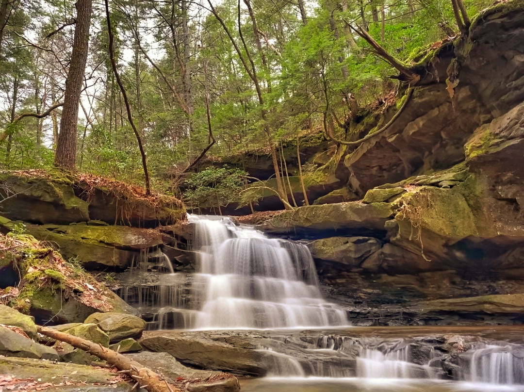 Alabama Mountain Lakes Tourist Association景点图片