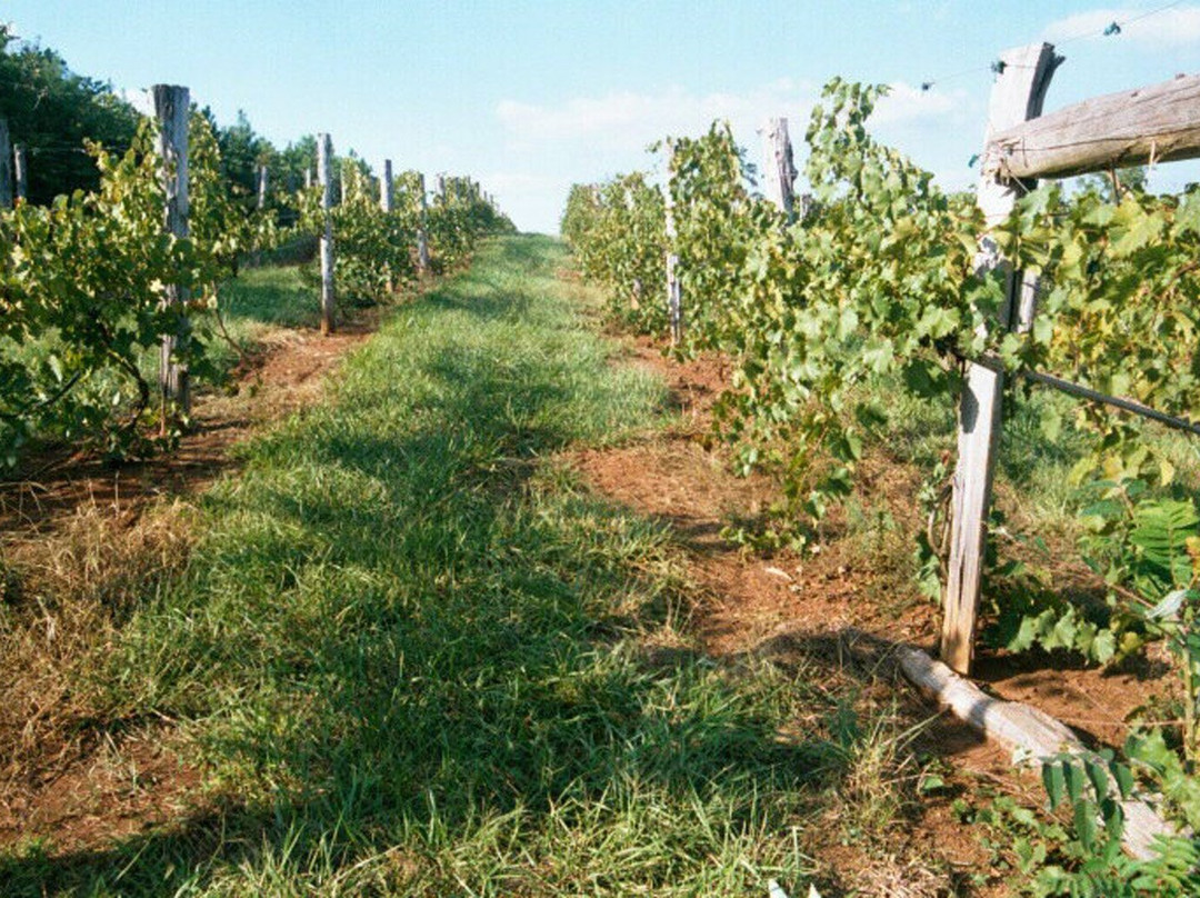 Siler City旅游攻略图片