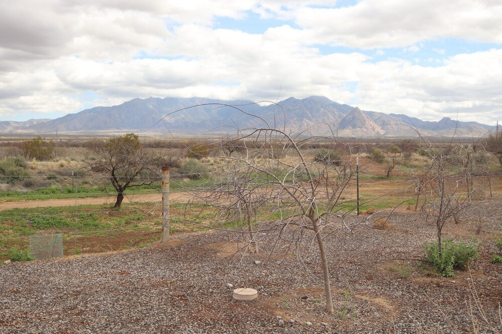 Historic Hacienda de la Canoa-Green Valley必去景点