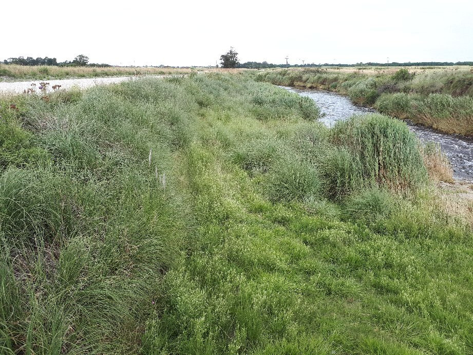 Las 7 cascadas del Arroyo Claromeco-Claromeco必去景点