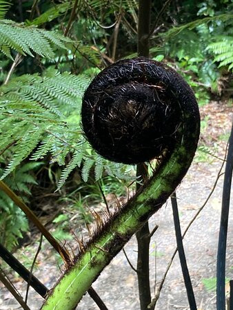 Kapiti Island Eco Experience-帕拉帕拉乌姆必去景点