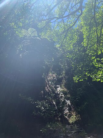 Te Henui Walkway-新普利默斯必去景点