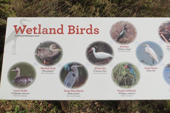 Linda S Castro Nature Sanctuary-Fulton必去景点