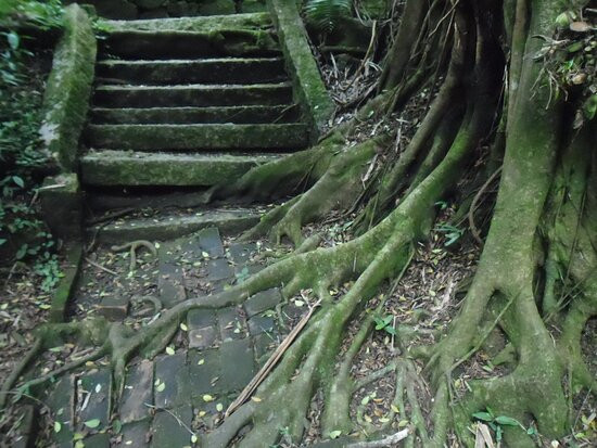 Ecological Park Alfredo Klinkert Junior-Maua必去景点