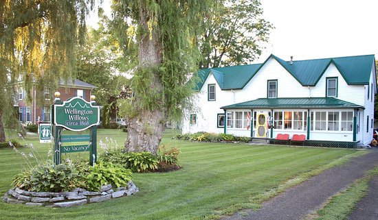 Wellington Willows Boutique B&B主图