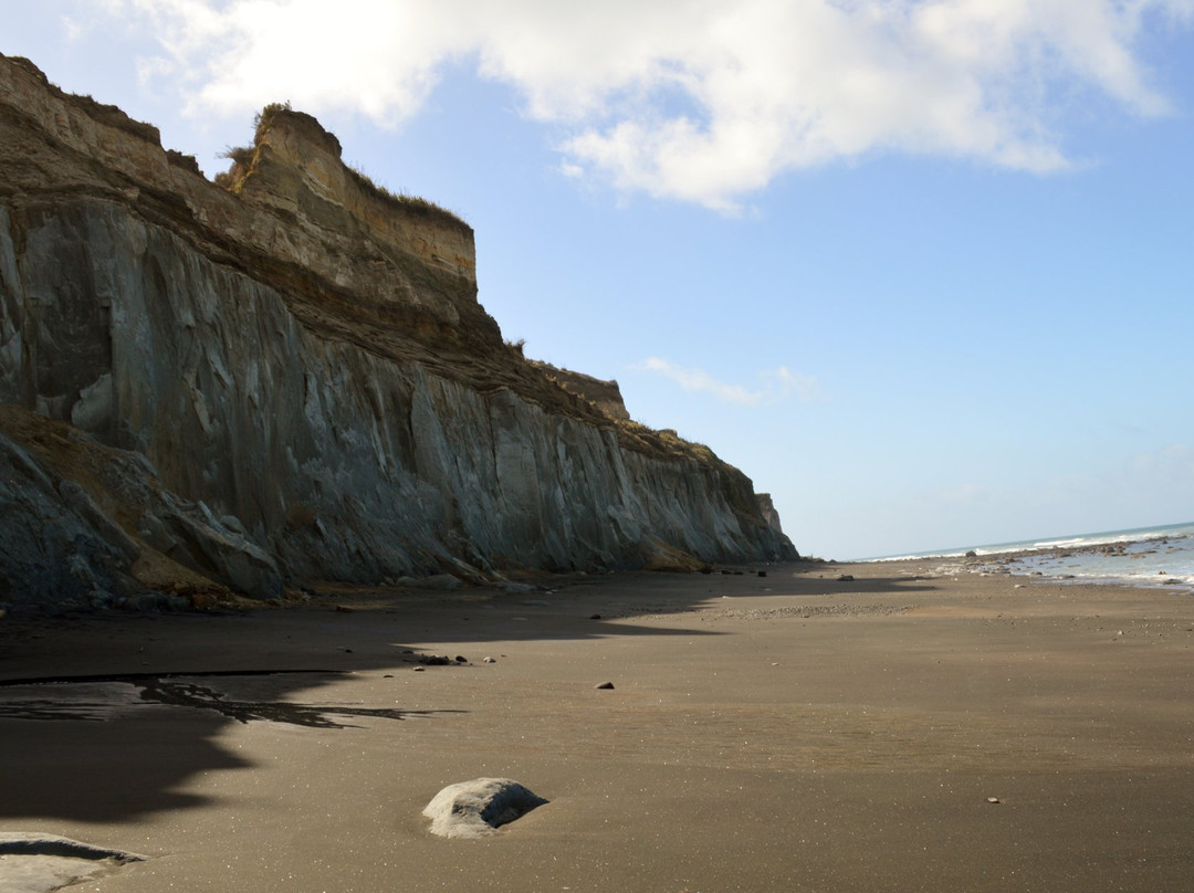 Waihi Beach景点图片