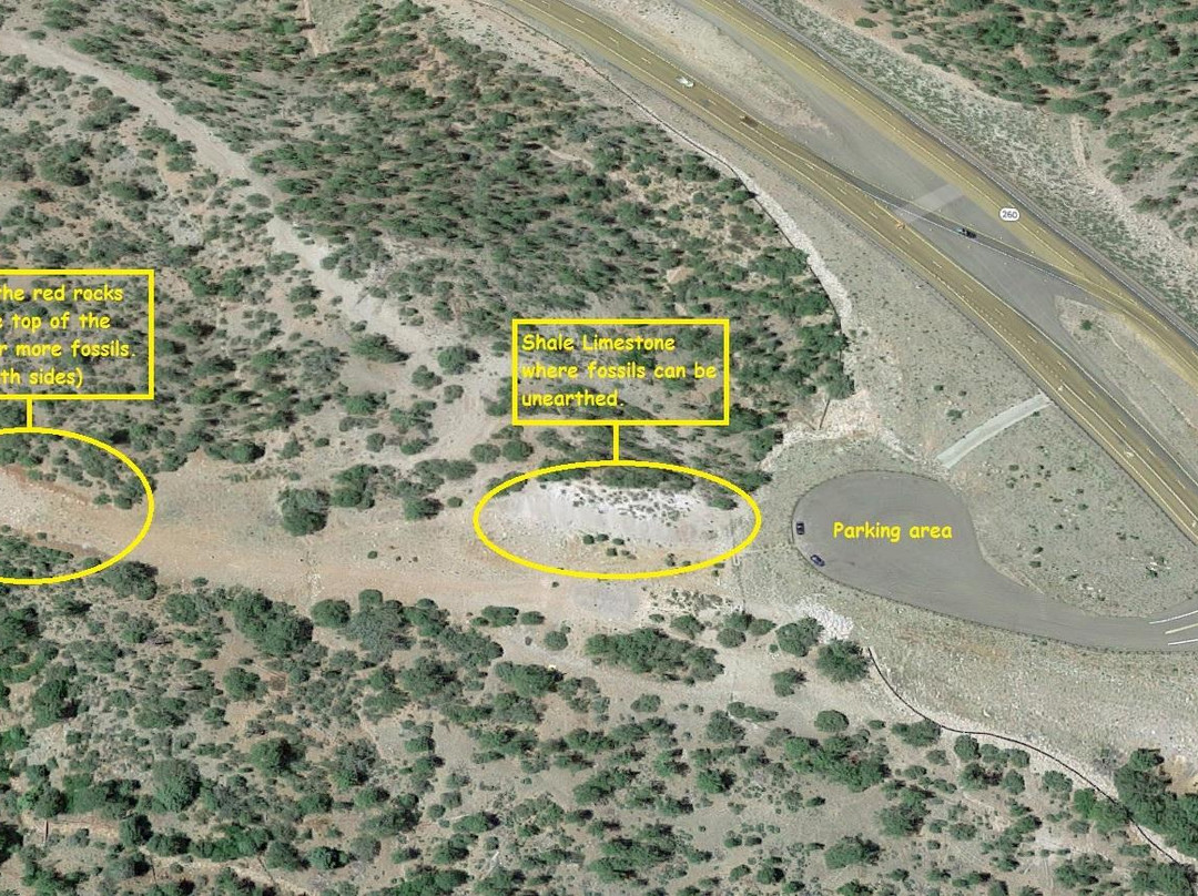 Young旅游景点-Paleo Site