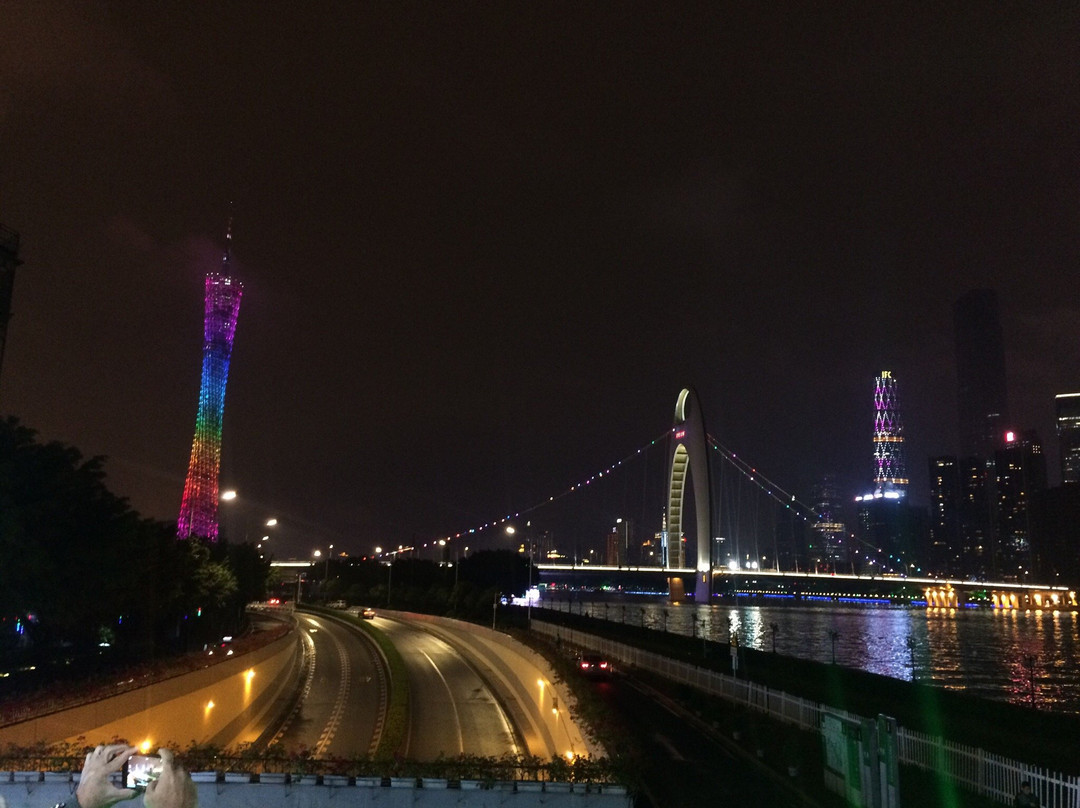 珠江琶醍