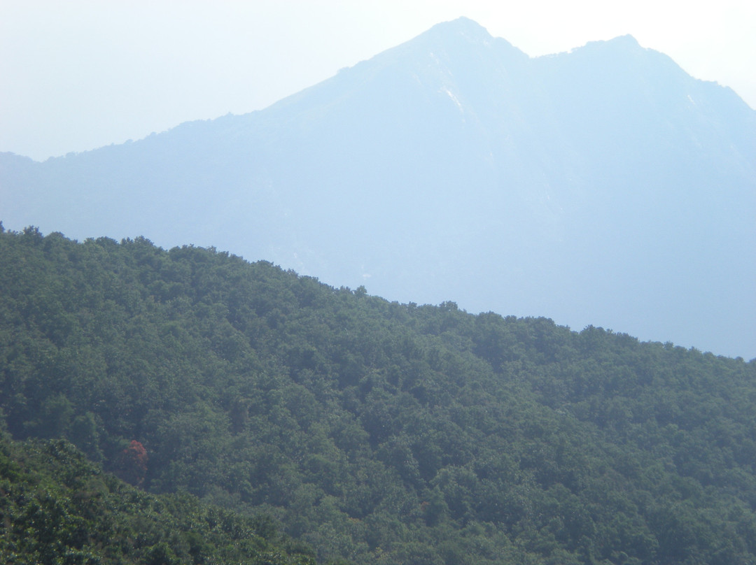 Indira Gandhi Wildlife Sanctuary and National Park景点图片