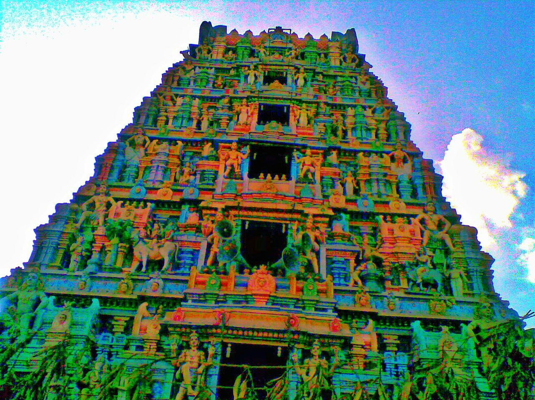 Vedapureeswarar Temple景点图片